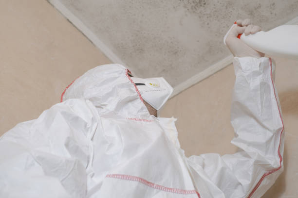 Best Residential Mold Removal  in Hot Springs, SD