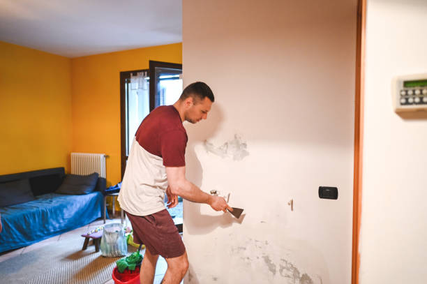Best Best Mold Removal Companies  in Hot Springs, SD