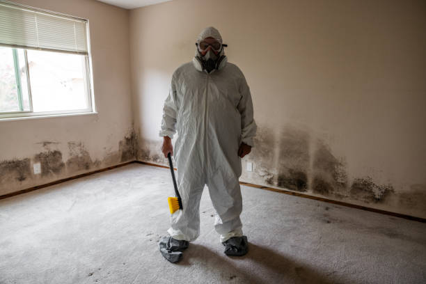 Mold Testing and Removal in Hot Springs, SD